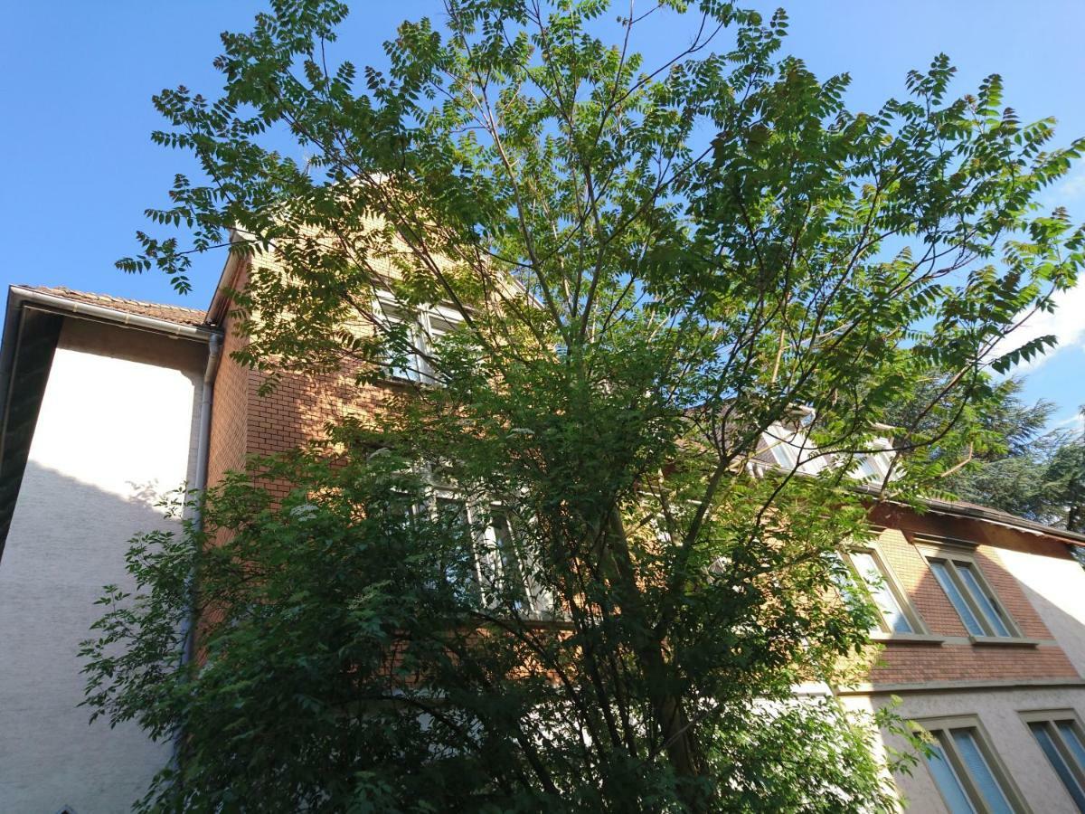 Nest City - Not a Hotel, private room MIT GEMEINSCHAFTSDUSCHE und -WC, KEIN PARKPLATZ, KEIN FRÜHSTÜCK, KEINE KÜCHE, Tücher gegen Gebühr, Check-In ab 16 Uhr bis 23 Uhr Constanza Exterior foto